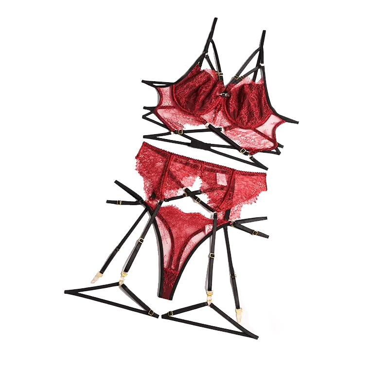 Sheer Bra Lace - Sexy Lace Lingerie Set, Roupa interior